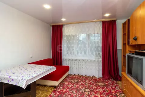 Студия Тюменская область, Тюмень ул. Беляева, 23/1 (18.0 м)