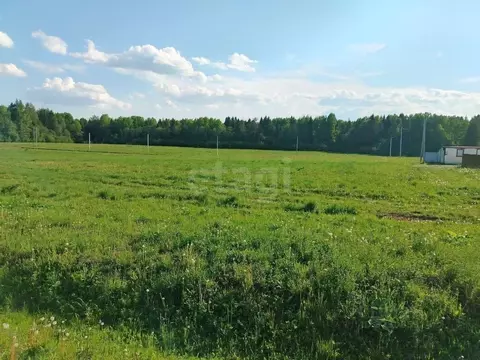 Участок в Вологодская область, д. Стризнево (Старосельский сельсовет)  ...