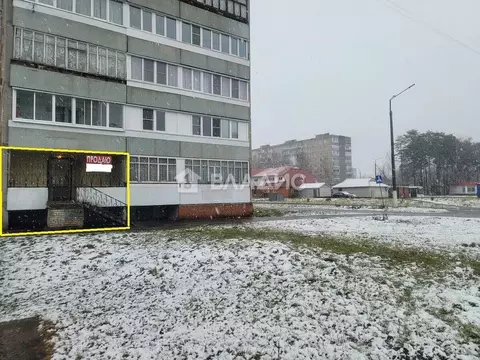 Помещение свободного назначения в Владимирская область, Радужный 1-й ...