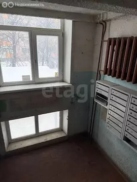 1-комнатная квартира: город Светлый, Калининградская улица, 7 (22 м)