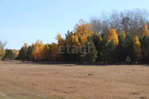 Участок в Тюменская область, Нижнетавдинский муниципальный округ, д. ...