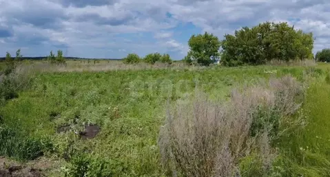 Участок в Алтайский край, Новоалтайск пос. Токарево,  (10.0 сот.)