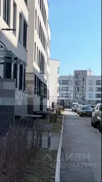 Студия Санкт-Петербург просп. Ветеранов, 214 (24.6 м)