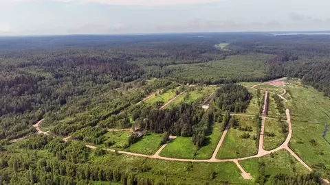 Участок в Ленинградская область, Приозерский район, Раздольевское ...