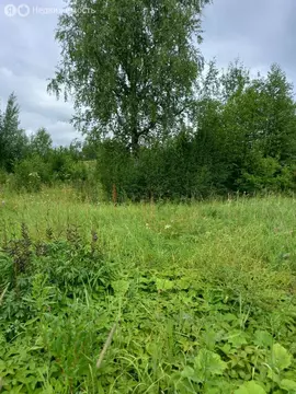 Участок в Афанасьевский, Трактовая улица, 11 (30 м)