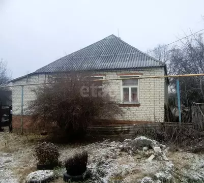 Дом в Белгородская область, Новооскольский муниципальный округ, с. ...