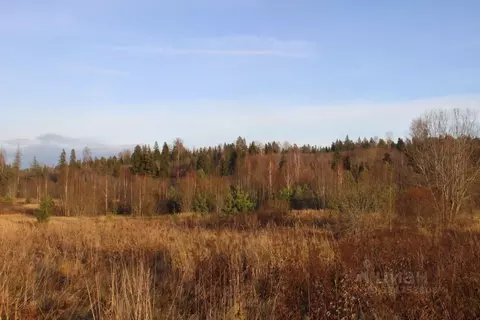 Участок в Московская область, Шаховская муниципальный округ, д. ...