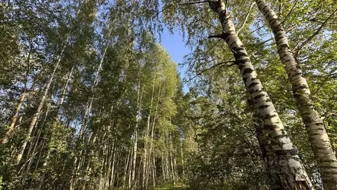 Участок в Ярославская область, Угличский муниципальный округ, ...