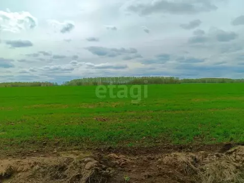 Участок в Тульская область, Заокский район, Демидовское с/пос, д. ...