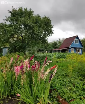 Дом в Вологда, садоводческое товарищество Парус, 3-я улица (35 м)