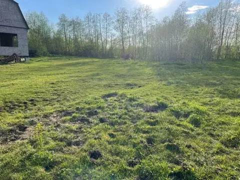 Участок в Ленинградская область, Гатчинский район, д. Ивановка ...