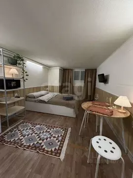 Студия Санкт-Петербург 2-я Васильевского острова линия, 3 (22.0 м)