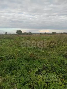 Участок в Псковская область, Порховский муниципальный округ, д. ...