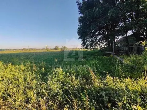 Участок в Воронежская область, Рамонский район, Новоживотинновское ...