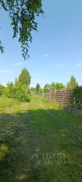 Участок в Алтайский край, Первомайский район, с. Санниково, Овощевод ...