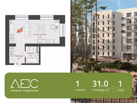 Студия Свердловская область, Екатеринбург Широкая Речка мкр, Лес жилой ...