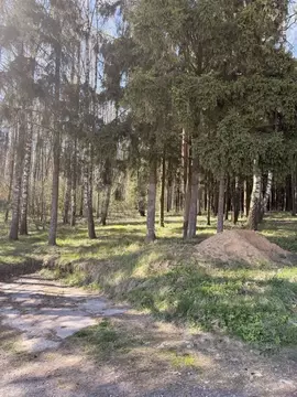 Участок в Московская область, Дмитровский муниципальный округ, ...