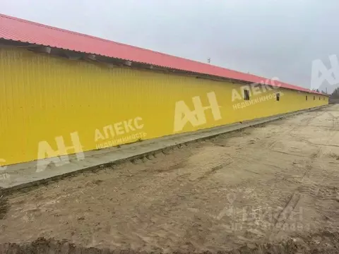 Склад в Московская область, Кашира городской округ, д. Руднево ул. ...