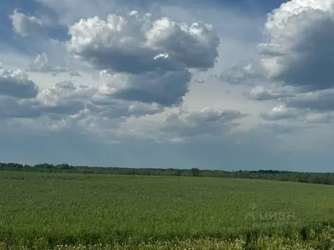 Участок в Ленинградская область, Лужский район, Заклинское с/пос, д. ...