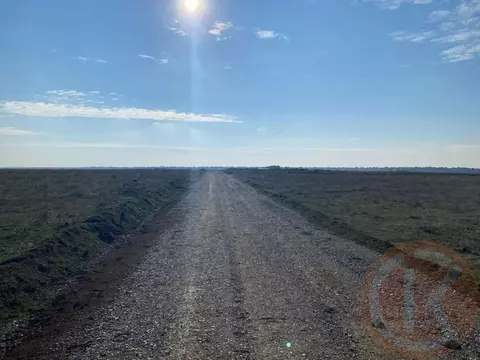 Участок в Крым, Сакский район, Суворовское с/пос, с. Великое ул. ...