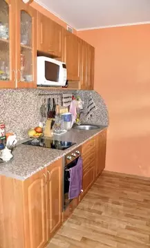 Студия Новосибирская область, Новосибирск Горский мкр, 75 (30.0 м)