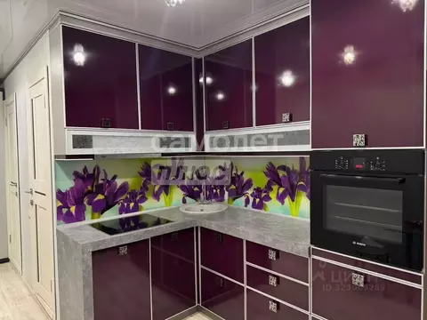 1-к кв. Челябинская область, Миасс бул. И.И. Седова, 8 (40.0 м)