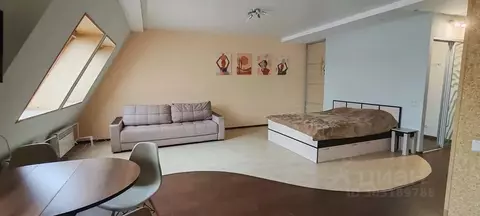 Студия Тверская область, Тверь пер. Трудолюбия, 36 (54.0 м)