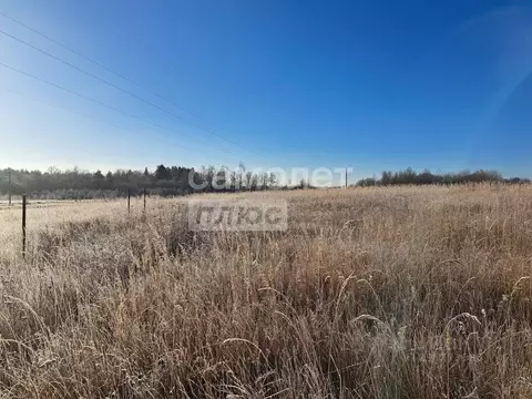 Участок в Владимирская область, Александровский муниципальный округ, ...