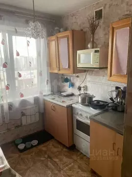 1-к кв. Иркутская область, Иркутск Байкальская ул., 201 (30.2 м)