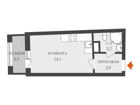 Студия Ленинградская область, Мурино Всеволожский район, просп. ...