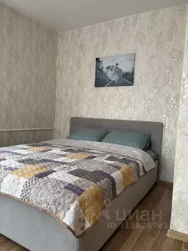 1-к кв. Псковская область, Псков ул. Некрасова, 4 (32.0 м)