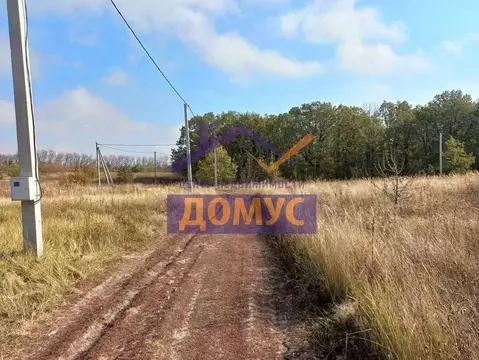 Участок в Белгородская область, Белгородский район, Новосадовское ...