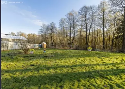 Участок в Владимирская область, городской округ Покров, деревня ...