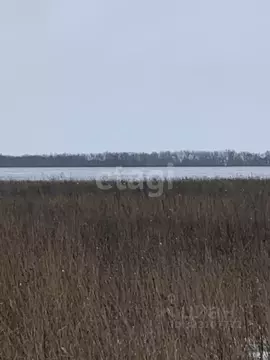 Участок в Белгородская область, Белгородский район, Головинское с/пос, ...