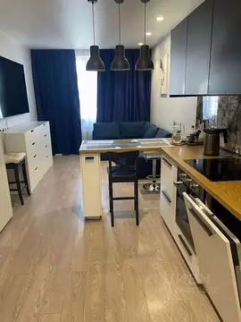 1-к кв. Санкт-Петербург Новолитовская ул., 10 (40.0 м)