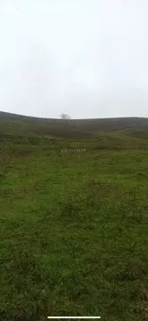 Участок в Майминский район, посёлок Алфёрово (10 м)