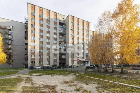 Студия Тюменская область, Тюмень Олимпийская ул., 25 (16.0 м)