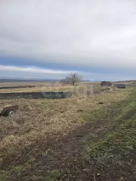 Участок в Ставропольский край, Шпаковский муниципальный округ, ...