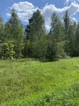 Участок в Воронежская область, Рамонский район, Айдаровское с/пос, с. ...