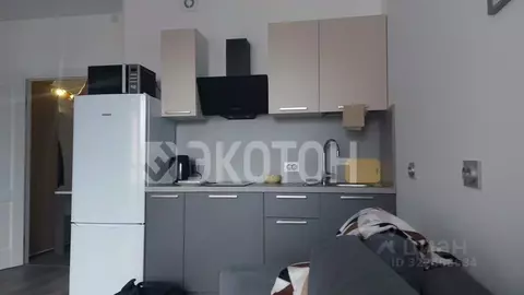 Студия Санкт-Петербург ул. Струве, 12к1 (26.0 м)