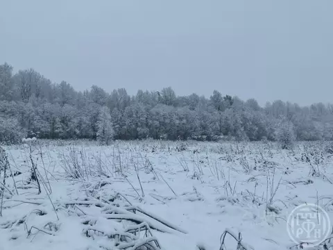 Участок в Ленинградская область, Приозерский район, Ромашкинское ...