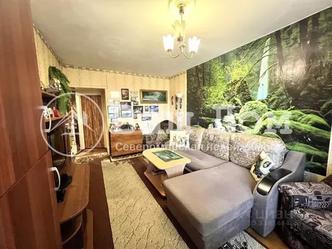 2-к кв. Мурманская область, Сафоново пгт, пос. Сафоново-1 ул. Панина, ...