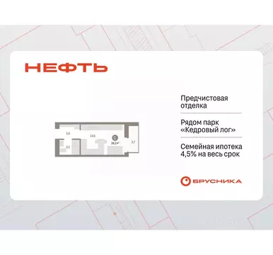 Студия Ханты-Мансийский АО, Сургут 1-й мкр, Нефть жилой комплекс (24.1 ...