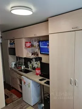 Студия Иркутская область, Иркутск ул. Помяловского, 15а (10.4 м)