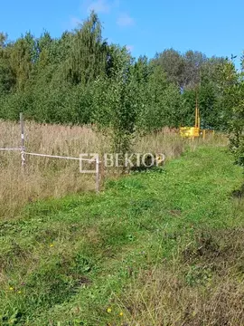 Участок в Костромская область, Судиславское с/пос, пос. Западный  ...