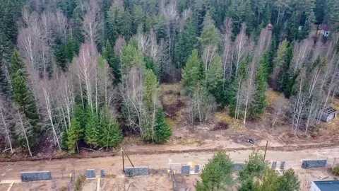 Участок в Ленинградская область, Выборгский район, Первомайское с/пос, ...
