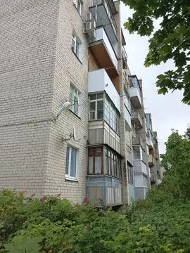 3-к кв. Новгородская область, Малая Вишера ул. Мерецкова, 10 (56.8 м)