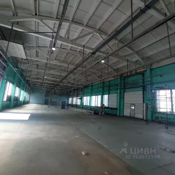 Помещение свободного назначения в Московская область, Фрязино ...