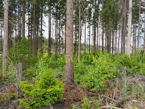 Участок в Свердловская область, Ревда  (9.72 сот.)