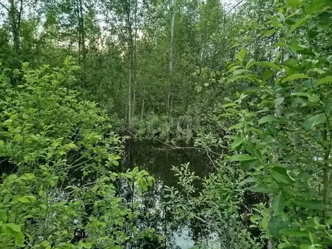 Участок в Новгородская область, Чудовский район, Грузинское с/пос, д. ...